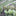 May Gardening: Succession Planting