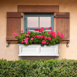 Summer Color Trends