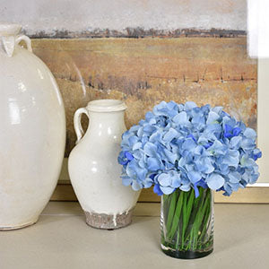 All Botanicals