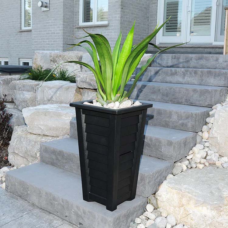 Front Door Cheer
