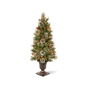 Mini Christmas Trees
