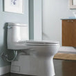 One-Piece Toilets