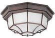 Outdoor Flush & Semi-Flush Lights
