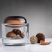 92761-1105401 Storage & Organization/Kitchen Storage/Food Storage Containers