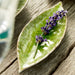 VEP182-TMT Dining & Entertaining/Serveware/Serving Platters & Trays