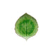 VEP221-TMT Dining & Entertaining/Serveware/Serving Platters & Trays