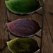 VEP221-VGN Dining & Entertaining/Serveware/Serving Platters & Trays