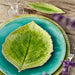 NAP313-TMT Dining & Entertaining/Dinnerware/Buffet & Charger Plates