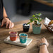 LSC061-TRQ-S6 Dining & Entertaining/Drinkware/Coffee & Tea Mugs