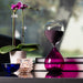 D841P Decor/Decorative Accents/Sculptures Figurines & Finials