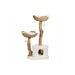 ANI-106-WHT Decor/Pet Accessories/Pet Beds