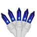 32602357 Holiday/Christmas/Christmas Lights
