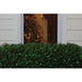 32604350 Holiday/Christmas/Christmas Lights