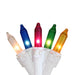 26184601 Holiday/Christmas/Christmas Lights
