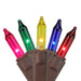 25249345 Holiday/Christmas/Christmas Lights