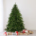 34305175 Holiday/Christmas/Christmas Outdoor Decor