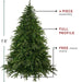 34305175 Holiday/Christmas/Christmas Outdoor Decor
