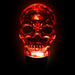 34337612-BLACK Holiday/Halloween/Halloween Indoor Decor