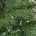 31450697-GREEN Holiday/Christmas/Christmas Wreaths & Garlands & Swags