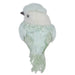 34314935-GREEN Holiday/Christmas/Christmas Indoor Decor