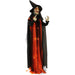 HHWITCH-21FLS Holiday/Halloween/Halloween Indoor Decor
