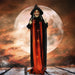 HHWITCH-21FLS Holiday/Halloween/Halloween Indoor Decor