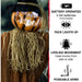 HHPUM-1FLSA Holiday/Halloween/Halloween Indoor Decor