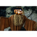 HHPUM-1FLSA Holiday/Halloween/Halloween Indoor Decor