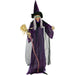 HHWITCH-5FLSA Holiday/Halloween/Halloween Indoor Decor