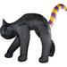 HIBCAT201-L Holiday/Halloween/Halloween Indoor Decor