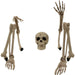 HHGBSKEL-1GB Holiday/Halloween/Halloween Indoor Decor