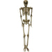 HHSKEL-8HA Holiday/Halloween/Halloween Indoor Decor