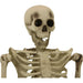 HHSKEL-8HA Holiday/Halloween/Halloween Indoor Decor