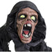 HHDOG-1FLSA Holiday/Halloween/Halloween Indoor Decor