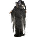 HHWITCH-20FLSA Holiday/Halloween/Halloween Indoor Decor