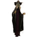 HHWITCH-27FLSA Holiday/Halloween/Halloween Indoor Decor
