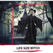 HHWITCH-1FLS Holiday/Halloween/Halloween Indoor Decor