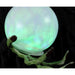 HHWITCH-1FLS Holiday/Halloween/Halloween Indoor Decor