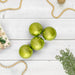 32607703-GREEN Holiday/Christmas/Christmas Trees