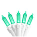 32605353-GREEN Holiday/Christmas/Christmas Lights