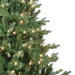 TR60450PLC Holiday/Christmas/Christmas Trees