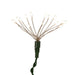 AD1014WW Holiday/Christmas/Christmas Lights