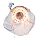 UL2228 Holiday/Christmas/Christmas Ornaments and Tree Toppers
