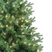 TR60500LEDWW Holiday/Christmas/Christmas Trees