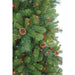 TR70753PLM Holiday/Christmas/Christmas Trees