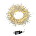 AD1024WW Holiday/Christmas/Christmas Lights