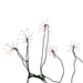 AD1039M Holiday/Christmas/Christmas Lights