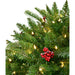 FF004PT-024-5GR Holiday/Christmas/Christmas Trees