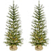 FFFF048-5GR/S2 Holiday/Christmas/Christmas Trees