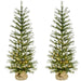 FFFF048-5GR/S2 Holiday/Christmas/Christmas Trees